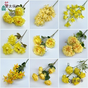 24���Sɫϵ��c���쾰�b�Y�F����������b����S������̫��