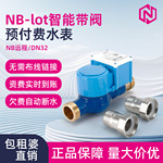 预付费包租婆智能水表NB-DN32DN405065远程智能冷水表物联网出租