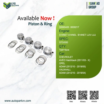Suitable for Buick Encore 1.4t 13 Models Piston 55580179 55580184 55565420