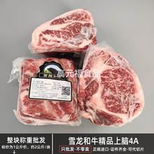 ѩ����Ѫ��ţѩ�����X4A ���Ϳ������nʽ����ţ�� �в�С��ţ��