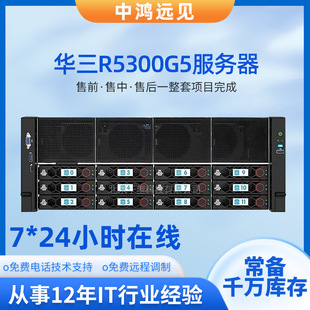 H3C Huusan Server R5300 G5/R4930 G5 Xinchuang Server 4U Rack Ai Deep Learning