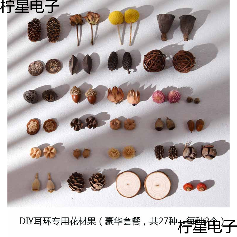 植物耳环天然干果南瓜耳饰材料个性创意小众首饰耳钉配件果子