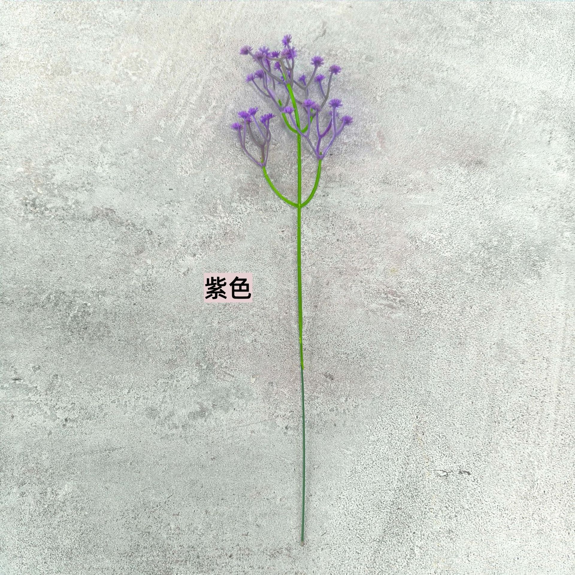 보라색