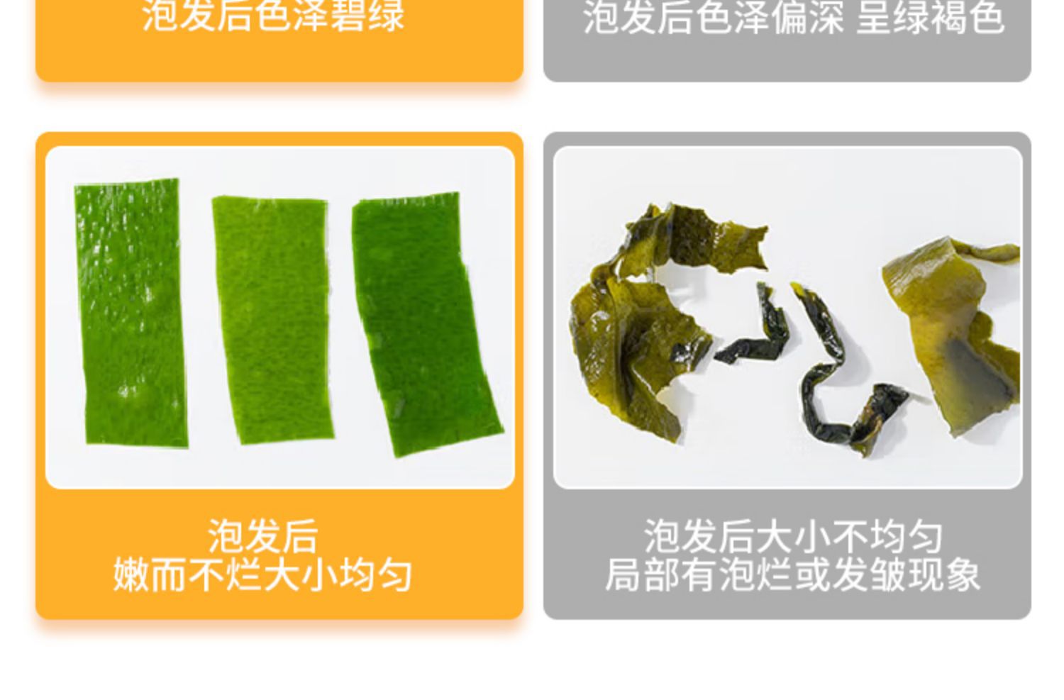 详情图片13