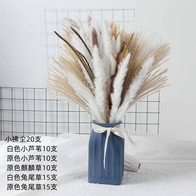 アマゾンはよく売れています。葦の花の花束です。|undefined