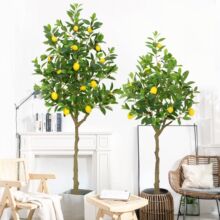 �߶��p�ݷ���Gֲ���Ә���Ә��҃�������Ԏ����ٽ𼪘�͏d�[��