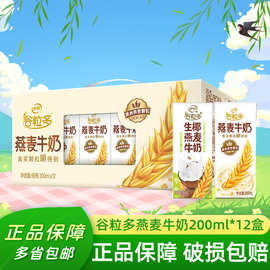 【4月新货】伊利谷粒多生椰燕麦200ml*12盒整箱装