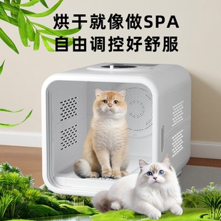 ����؈����ë�䴵�əC����ϴ�����������܌�������ؓ�x�ӿ�
