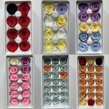 玫瑰永生花 钥匙扣车挂礼盒花材 新娘头饰干花保鲜花晨曦花束