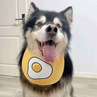 ������ˮ�팙������ļ�����ë��ˮ�����д��͹������ý�ë�_Ħ