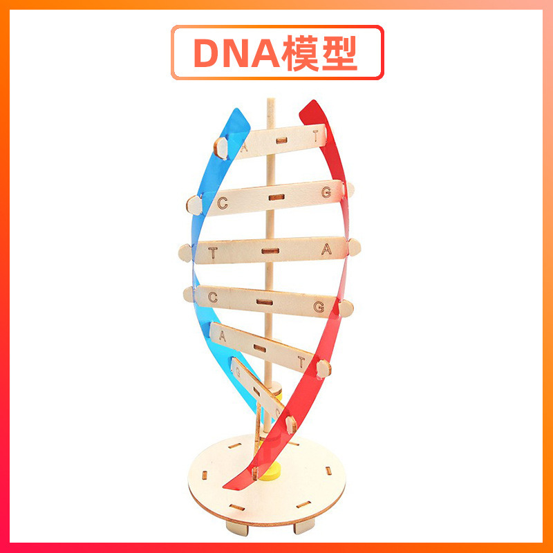 科学実験セット機器子供教育技術少量生産物理学発明DIY手作り材料小学生向け|undefined