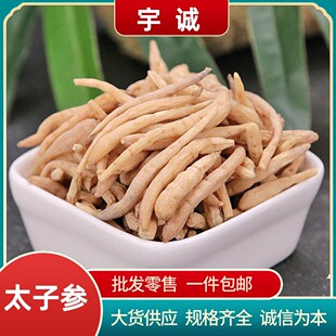 ̫�Ӆ���ș����؛Ұ���F��̫�Ӆ����l��ͯ������̫�Ӆ���