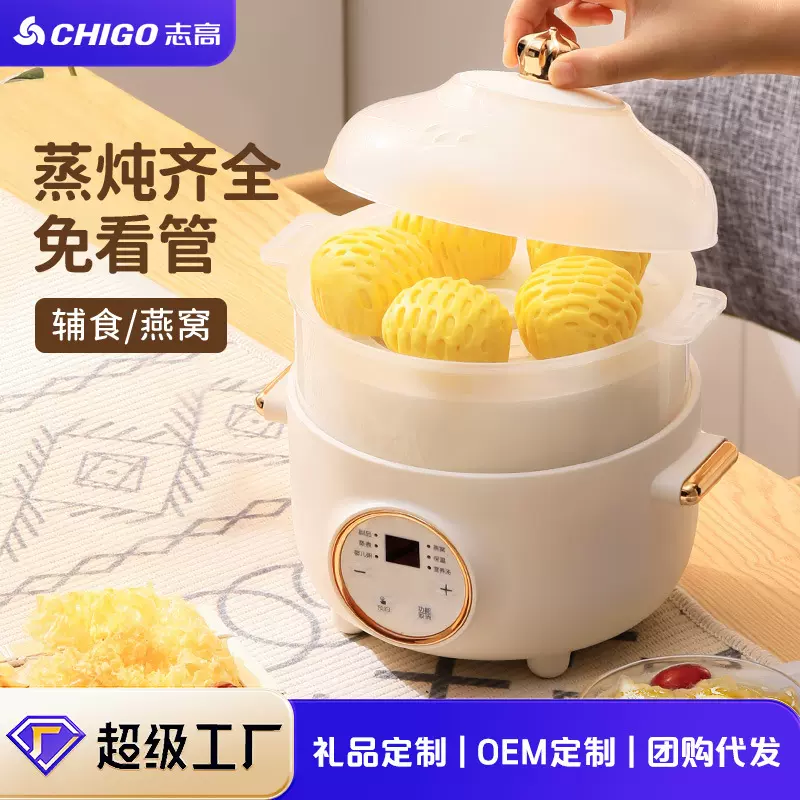 志高多功能隔水电炖锅家用宿舍预约煮粥电炖盅抖音同款迷你电炖锅