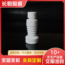 厂家生产氧化铝陶瓷六合一 水绝缘陶瓷烟套烟钉配件 电子陶瓷