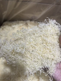 银耳;香菇;其他干货