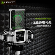 LEWITT/�R�S��DGT260��ɫ����о������L�W�tֱ��K�������ԒͲ