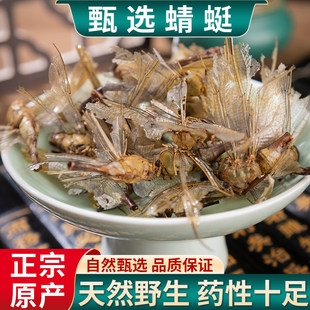 ���u�ɾG���� ��؛������ �o������ѿɴ�ی����Ĕz50�˰��]