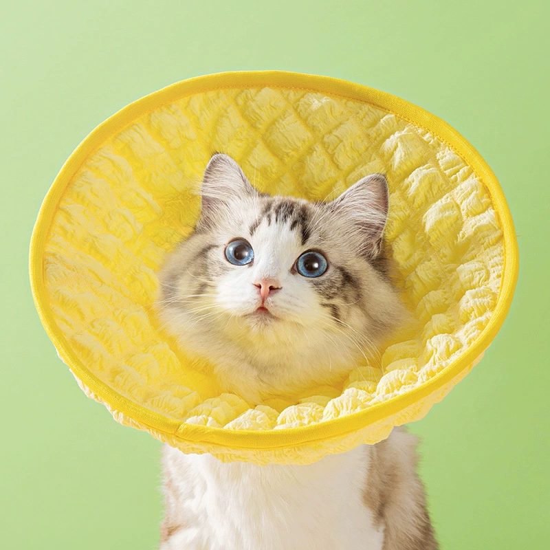 Новый Amazon Pet Cat Dog Elizabeth Circle Короткая кошачья шейка чехол для головы