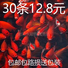 ��ˮ�^�p�~��С�\��С�͵�ˮ�^�p�~С�~��С�~����~���~��ˮ�~��