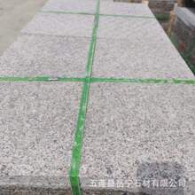 G361ɏ300.600䁹ʯ ֥40񻨍ҹ