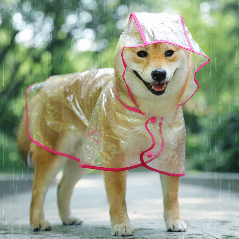 Transparent Dog Raincoat for Large and Medium-Sized Dogs Samoyed Teddy Bichon Golden Retriever Cat Clothes Pet Clothes Supplies Factory Wholesale