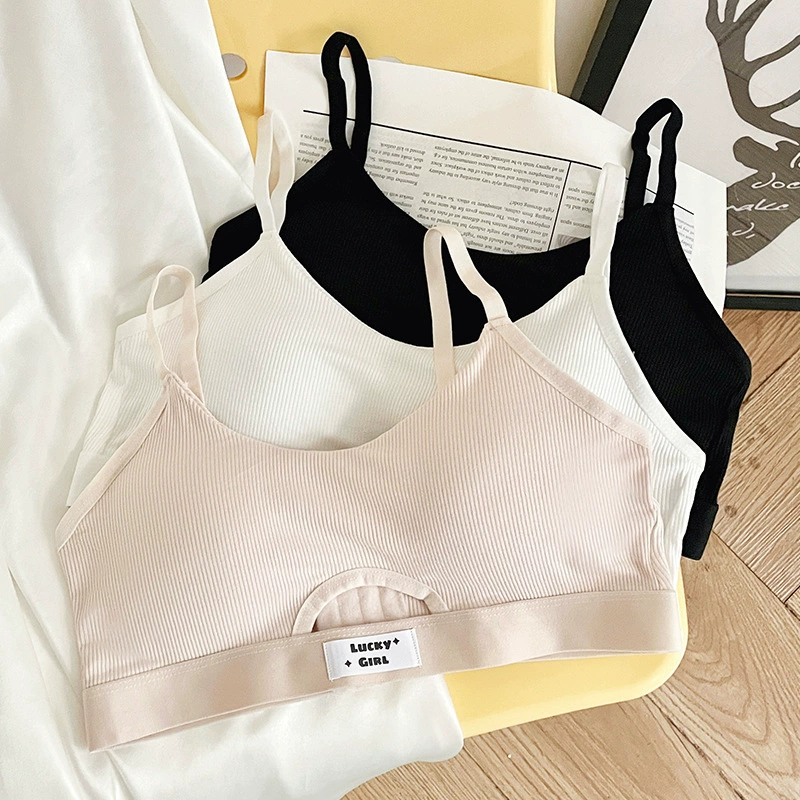 Нижнее белье корейские старшеклассники собираются без стальных оберток