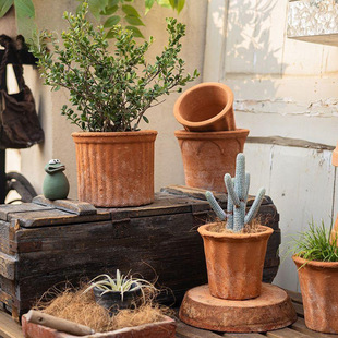 �t�����軨�������������͸����⻨���մ�����������ˮ���߻���