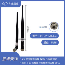 1.2Gȫ���z���쾀1200-1300MHz/1250MHz/�o���O�؈D�������쾀SMA