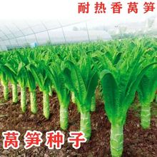 �������Ƥ�A�~�n�S�N�����n�S�N�ӾG���ļ��n�S�N��