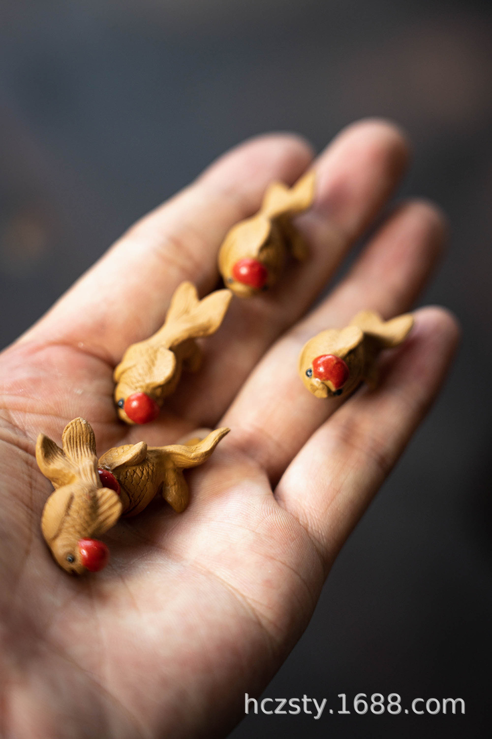 小金鱼20220714 (17).jpg