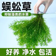 ����ˮ��ֲ���B���~���쾰�~�ݸ׃�ˮ�Gֲ�����B�~�G�պ󾰲�