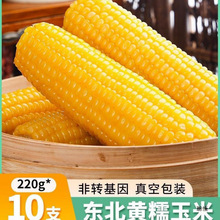 �|���SŴ���װ�10֧��؛����b�S���׬Fժ���r��������ճ�ּZ����