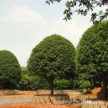 ��ُ�� �ߗU�𻨘� ���ϰ��¹���r�� ������ľ ؛Դ����