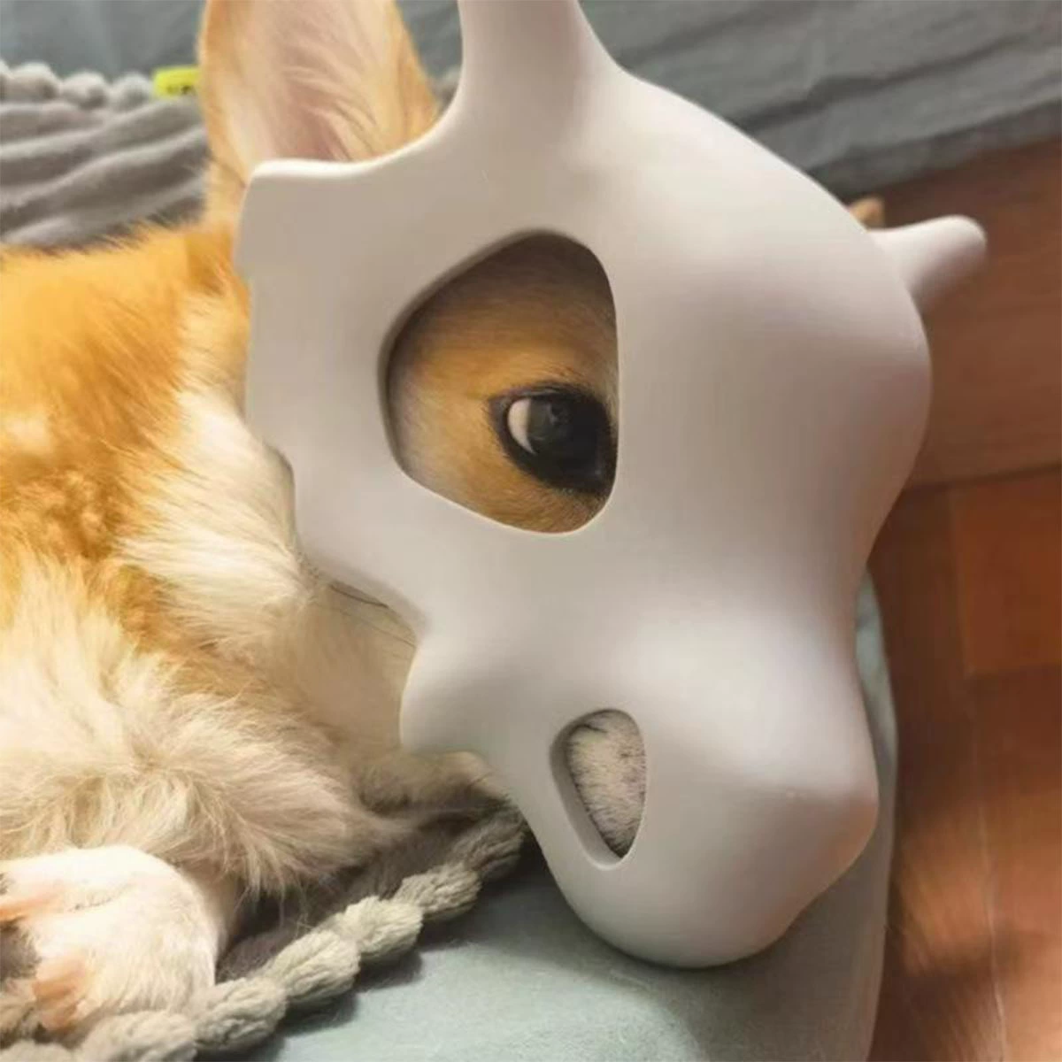 Креативный дизайн 3d печать трансграничной модели украшения для домашних животных Karara Pokemon