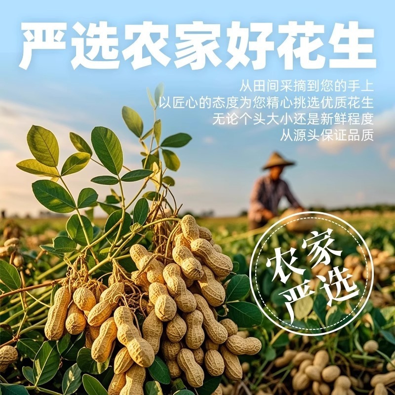 脱脂ピーナッツ、脱脂殻付き、五香辛味、すぐに食べられるスナック、お酒のお供、揚げ物、スナック食品卸売|undefined