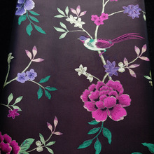 ½zcỨ LBZ㾫ɫỨ   SF