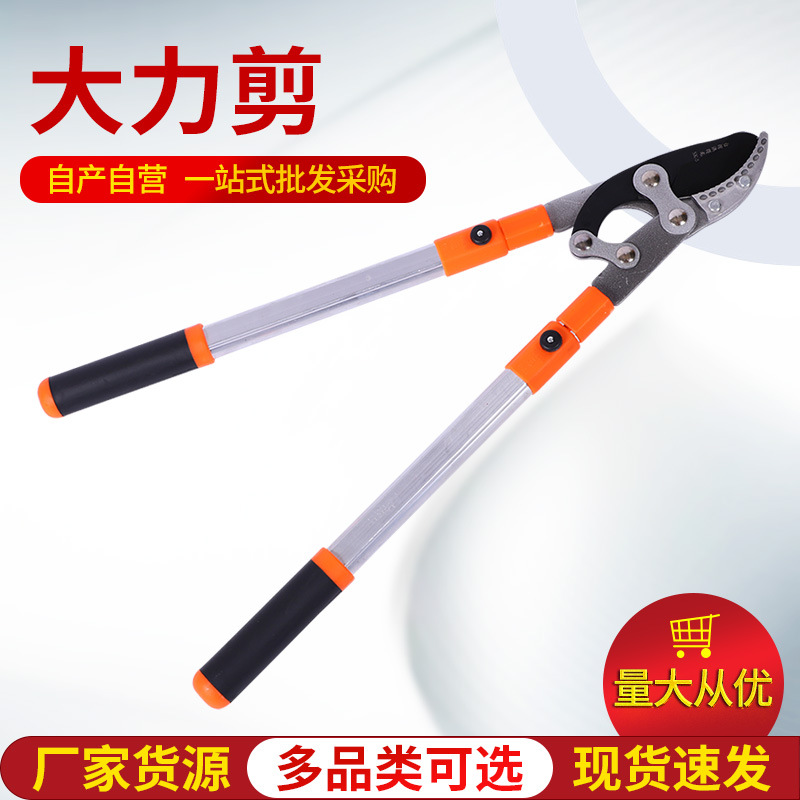 供应园林工具粗枝剪 树枝剪刀大力剪 果树剪刀 可伸缩修枝剪刀