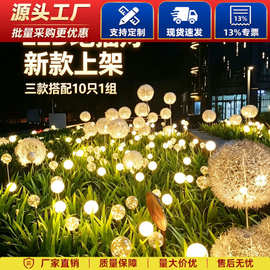 LED蒲公英灯户外插地草坪灯庭院装饰花园氛围灯12v圆球灯1组10只