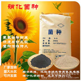 水产养殖菌种水产专用益生菌强力净水，快速降氨氮，保障养殖安全