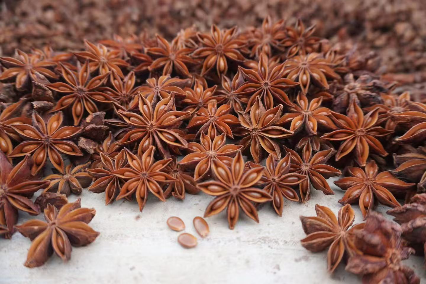 Guangxi Star Anise Ba Jiao Whole Dried Pods Sun Dried Culinary Spice 60g key features