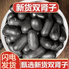 双肾子中药材无硫风流果阴阳子精选石莲子组合硬三材泡水性泡酒料