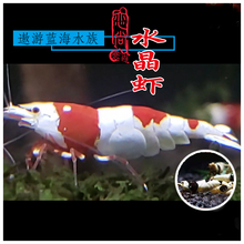 �t��ˮ���r�^�p�r��ˮ�����r�����r��ˮ�ͻ��w�߶�ˮ���r�r���^�p