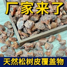 ��ĥ�ɘ�Ƥ�����Ƥ�ЙC���w��l�͸����Ƥ���|����Ѩ���w�s��