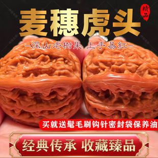 ������Ұ��{���뻢�^�{���^��������ԭɫ�ְѼ���ʿ�Cˢ�������