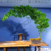 llС�~���������������Ϙ���Ʒ�҃�����ʽ�T��Gֲ�������B����ֲ