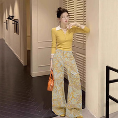 休闲洋气时尚高级感套装女秋季撞色翻领针织衫印花阔腿长裤两件套
