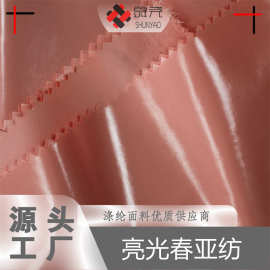 舜尧 高亮透明膜亮PU春亚纺面料 高光亮油面羽绒服涤纶布料