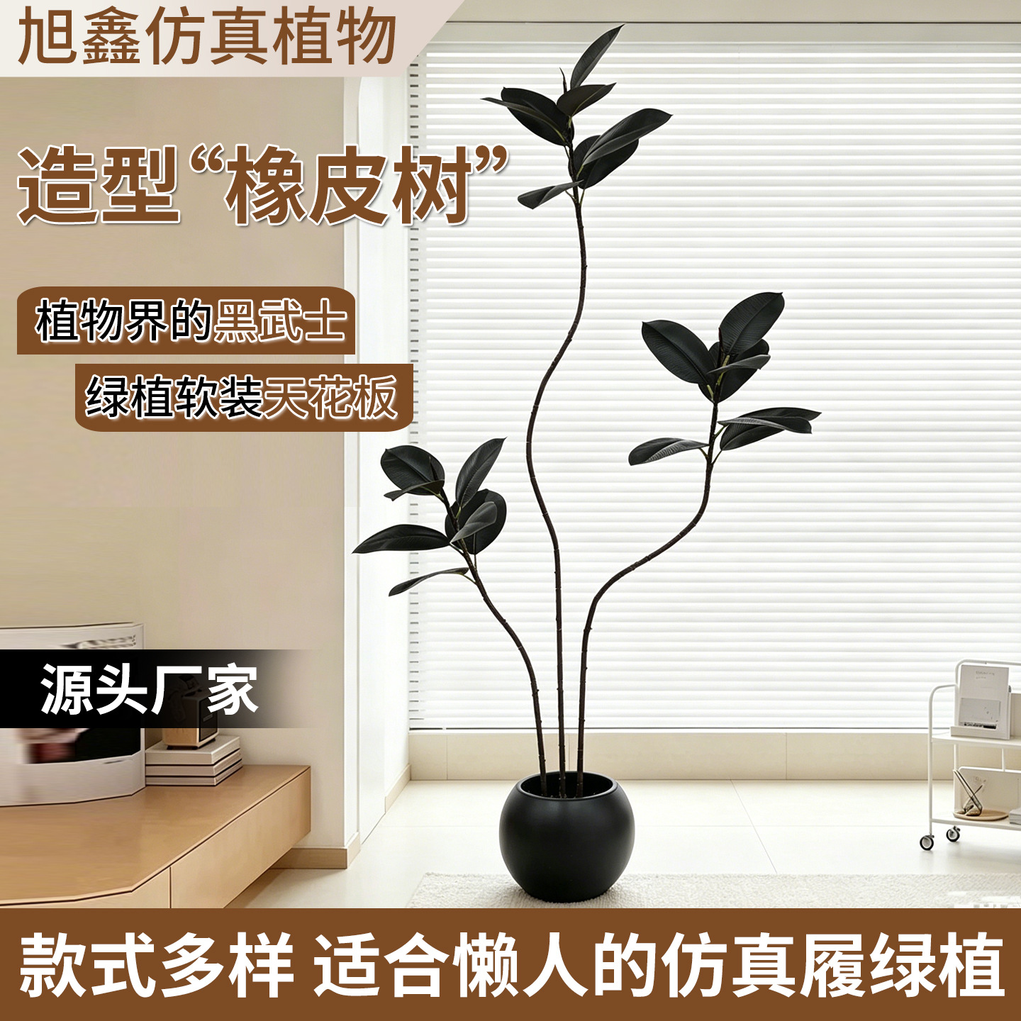 商品图