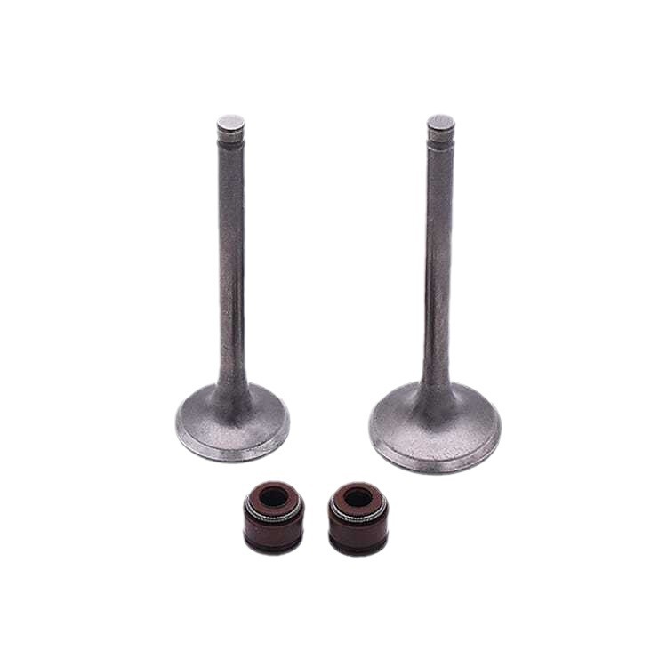 Motocicleta asistida por potencia Jialing 48CCJH7090JD100 motocicleta de viga curva fabricante de válvulas de admisión accesorios al por mayor