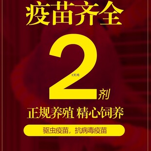 �W�^���B���fԒ���B��Ƥ���B�B����m��С���Ӄ�ͯ�B�Č���С�B